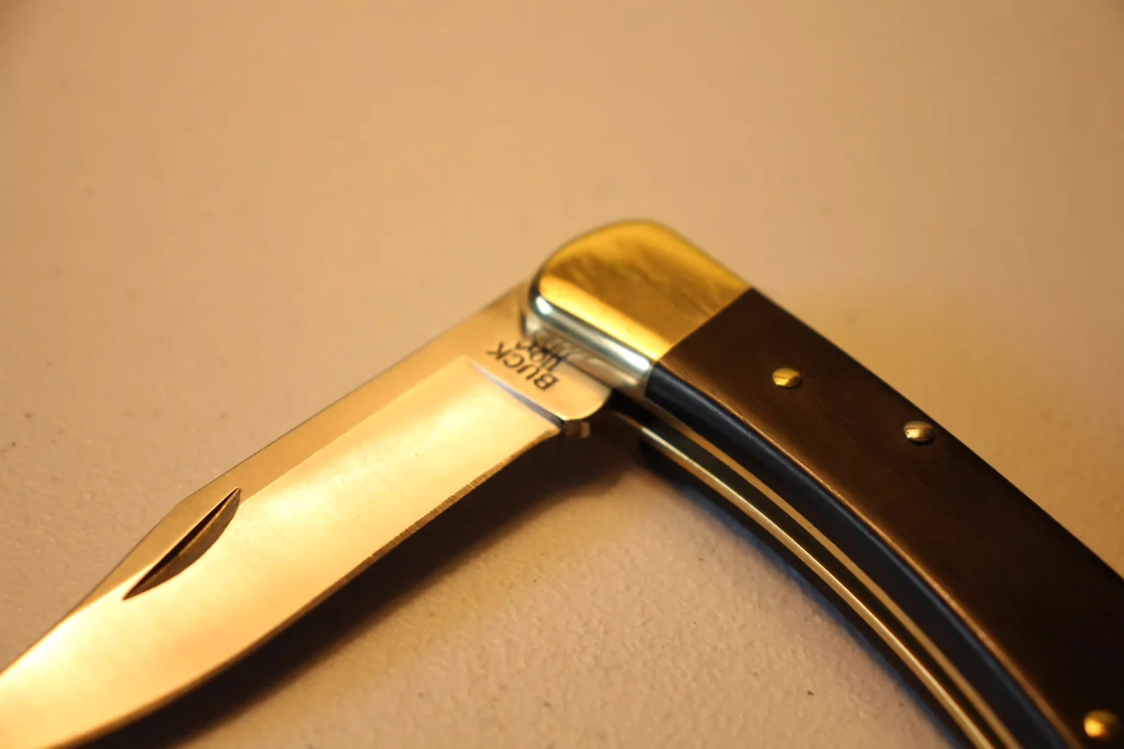 Closed Buck 110 in profile showing brass bolster, ebony scale, brass pin pattern, and BUCK 110 stamp at pivot
