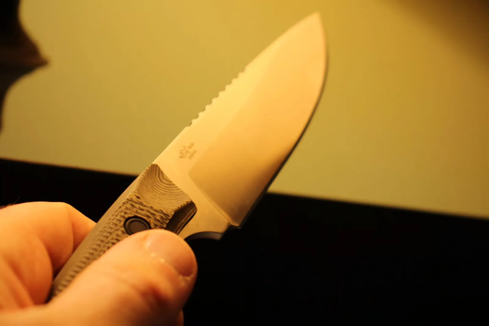 Buck 663 Alpha Guide in hand — jimping spine and brass-tinted blade
