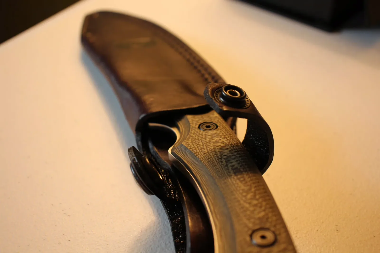 Sheath with snap closure and handle protruding