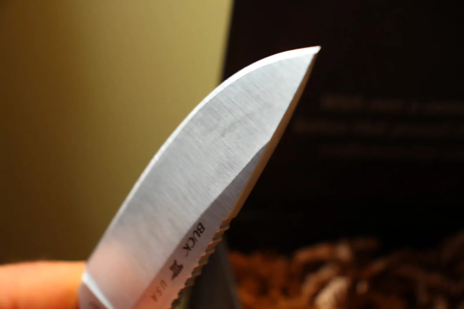 Blade close-up showing the BUCK USA stamp and B-anvil mark