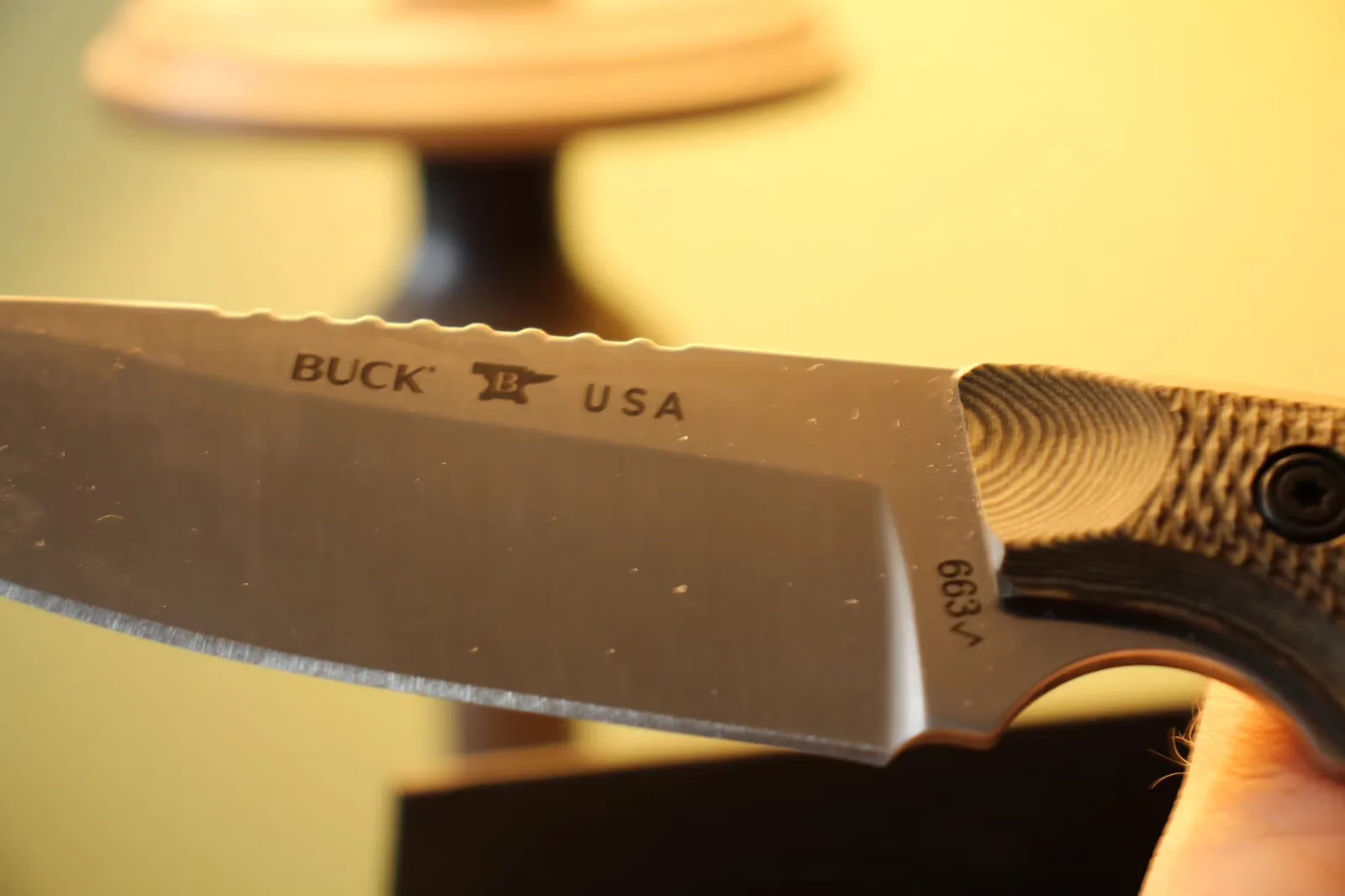 Buck 663 Alpha Guide Review — The S35VN Survival Knife That Earns the Hype