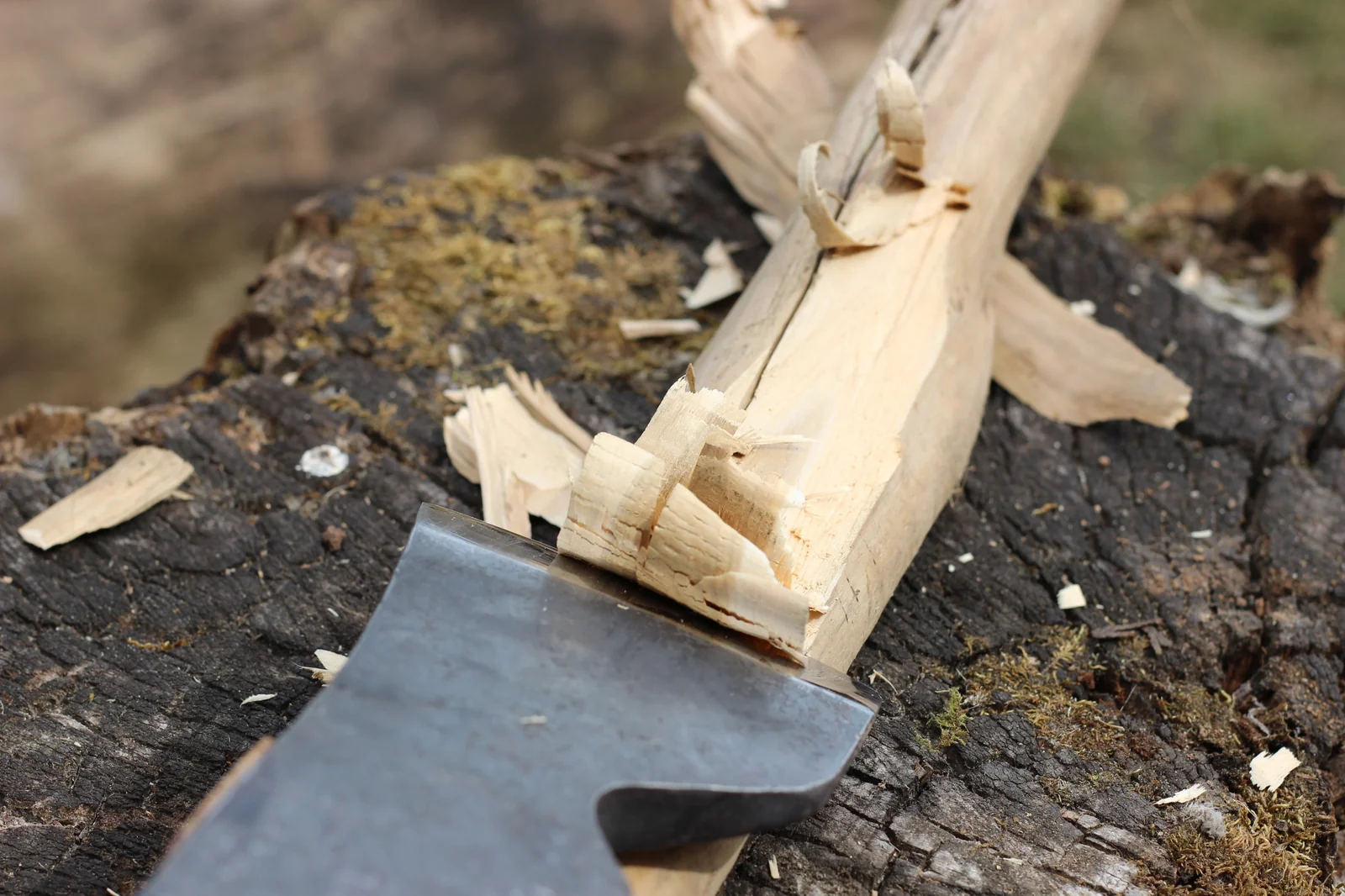 Axe head working on a small piece of wood on top of a stump with fresh wood chips strewn around