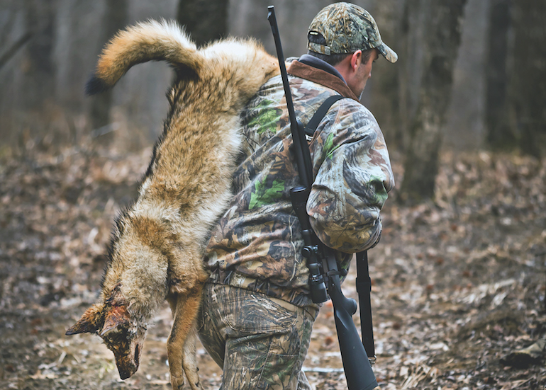 Hunting
