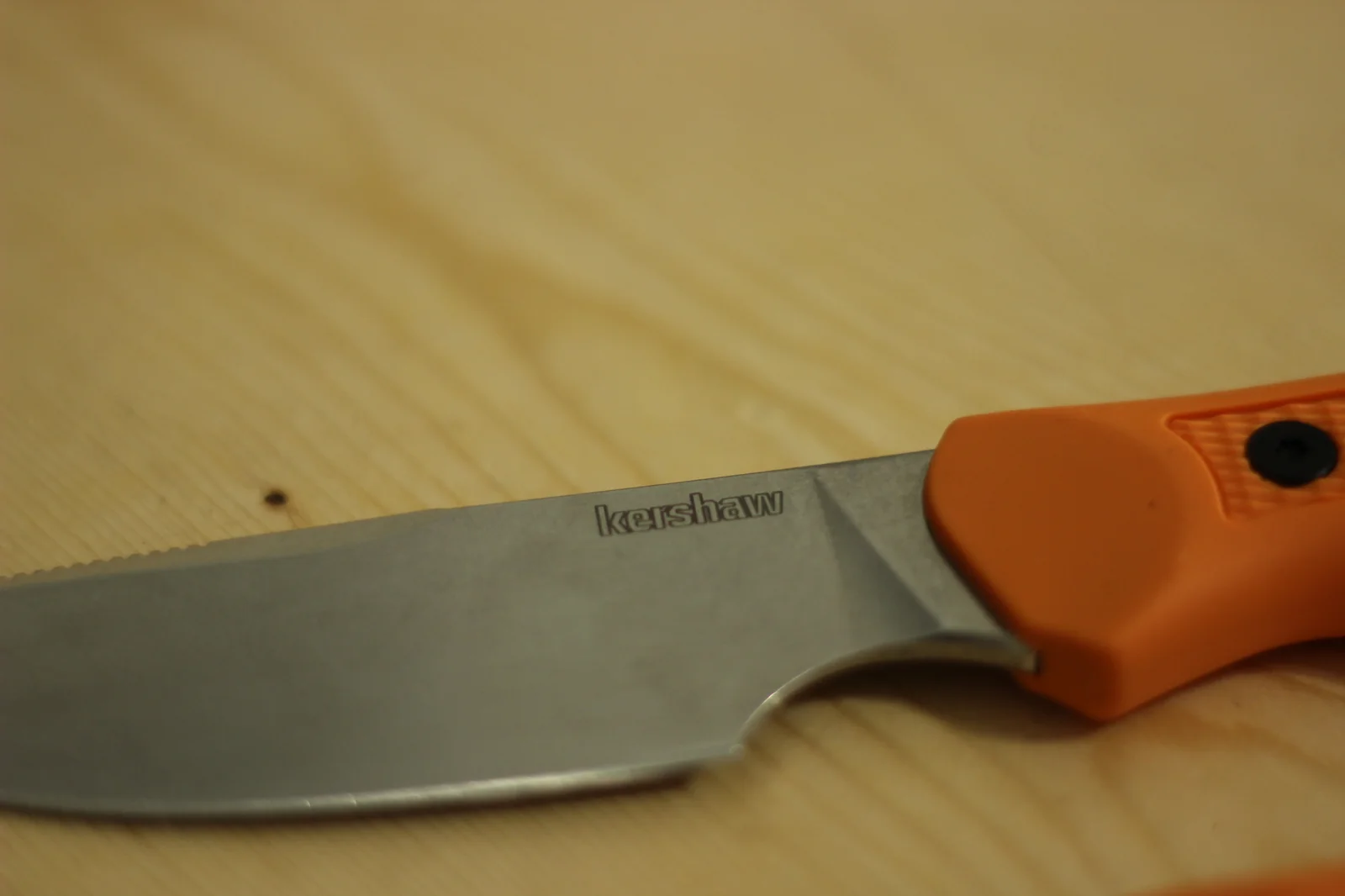 Macro of the 1883 blade showing the kershaw wordmark laser-etched onto the stonewashed D2 steel near the spine and the orange handle visible at the right edge